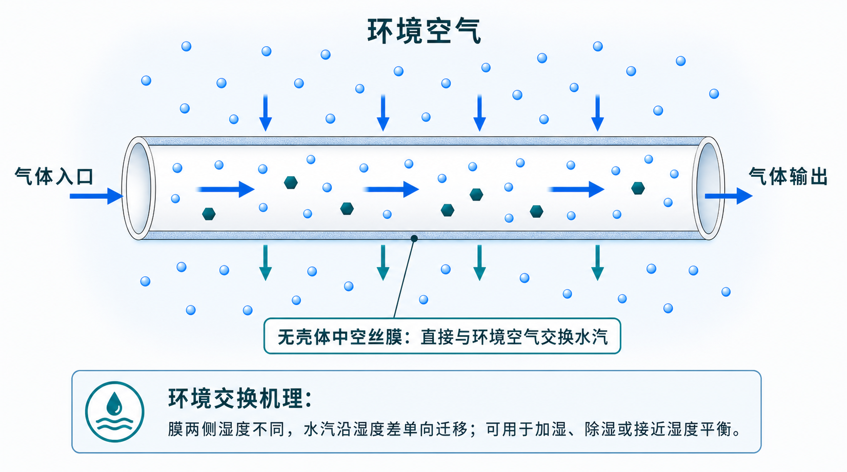 无壳体中空丝膜与环境空气交换水汽的原理示意