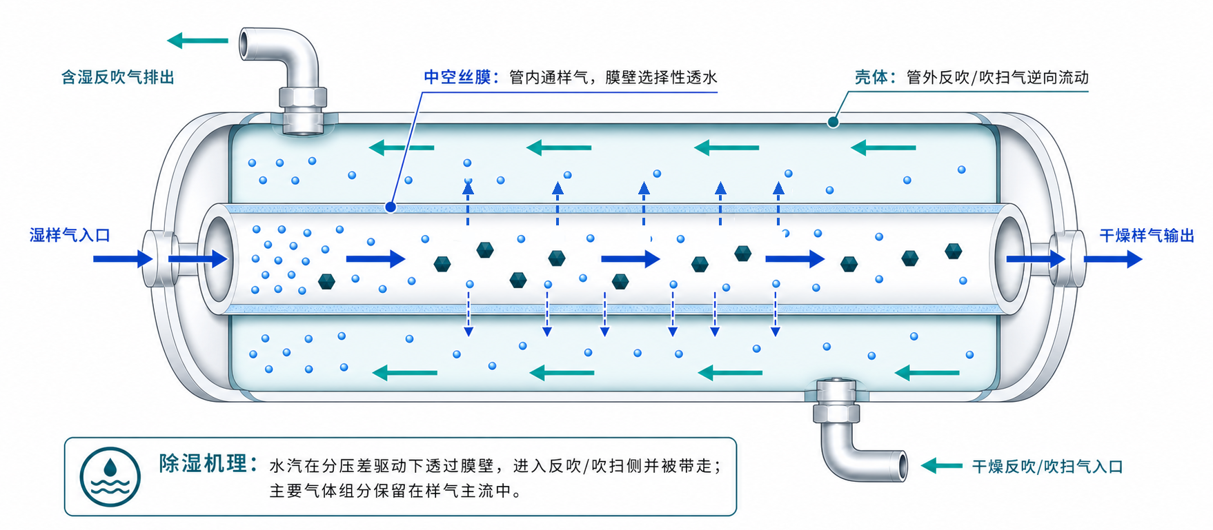 膜式干燥管利用反吹气带走水分的除湿原理示意