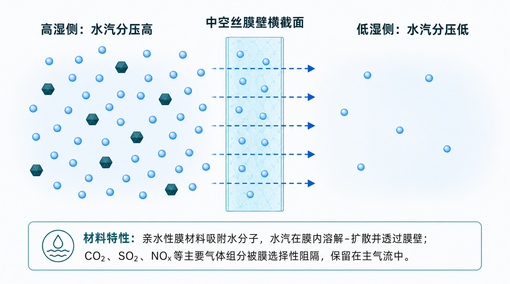 膜材料两侧水蒸气分压差驱动水分迁移示意